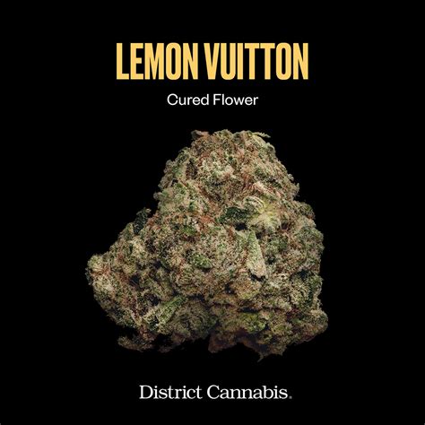 lemon vuitton strain